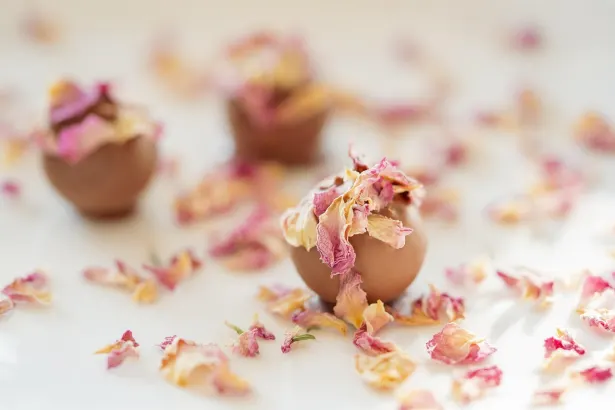 Moon Casino Android/iOS rakendus